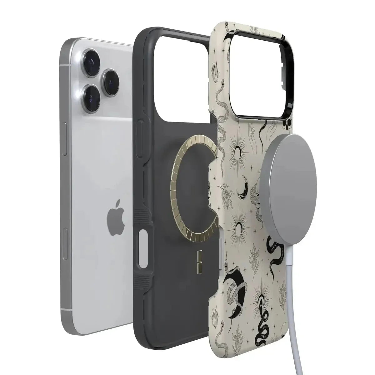 No Further Explanation | Snakes & Skulls Case Phone Case Casetry