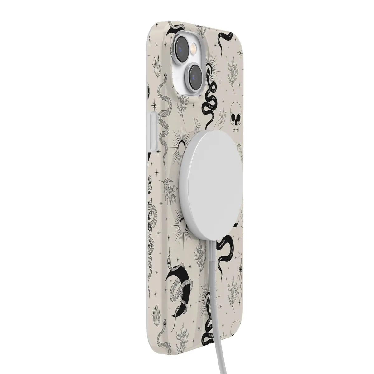 No Further Explanation | Snakes & Skulls Case Phone Case Casetry