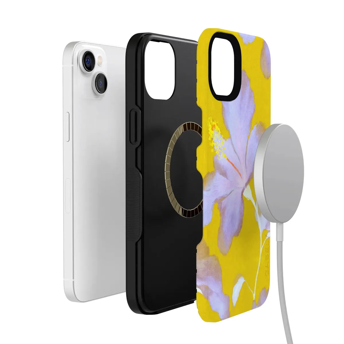 Hibiscus Haze | Painted Floral Case
