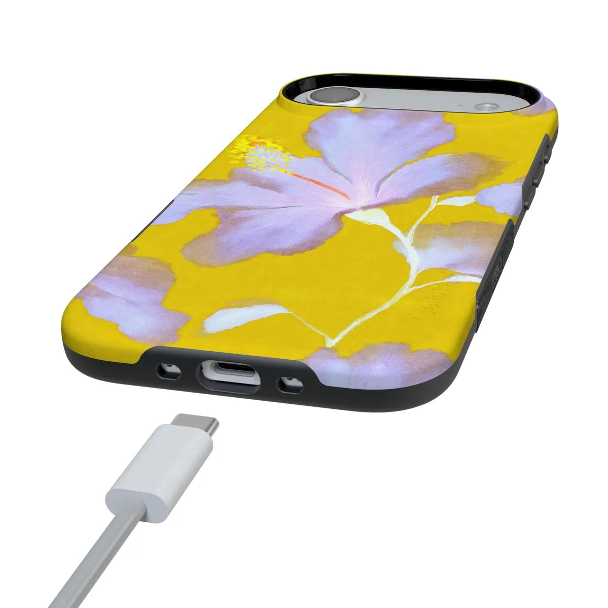 Hibiscus Haze | Painted Floral Case