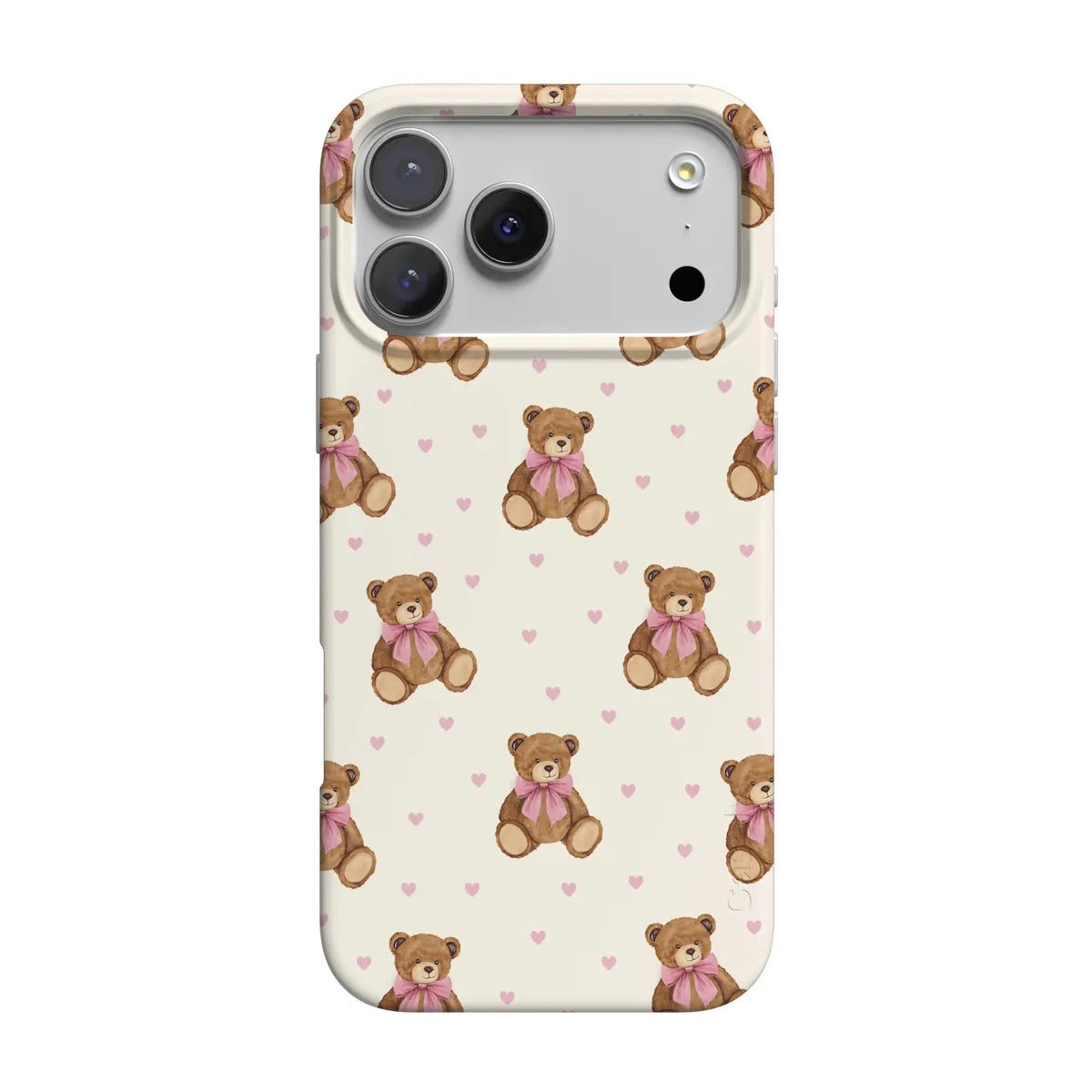 Cuddle Up | Teddy Bear Case