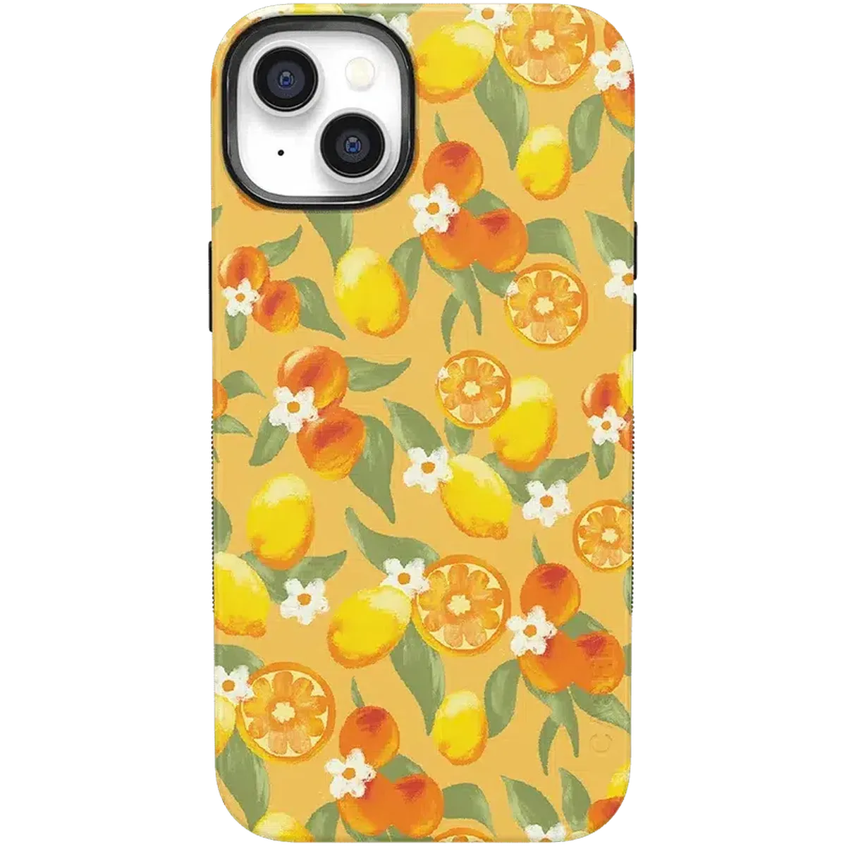 Positano | Dippin' Daisy's Italian Coast Case iPhone Case get.casely Bold + MagSafe® iPhone 14 Plus