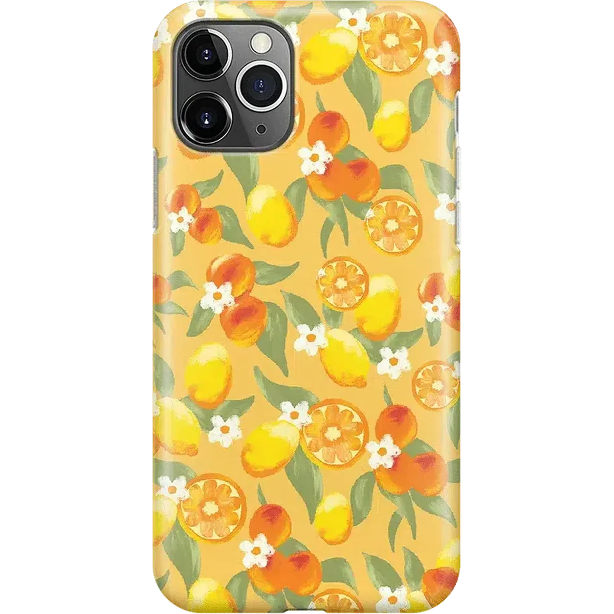 Positano | Dippin' Daisy's Italian Coast Case iPhone Case get.casely Classic iPhone 11 Pro Max