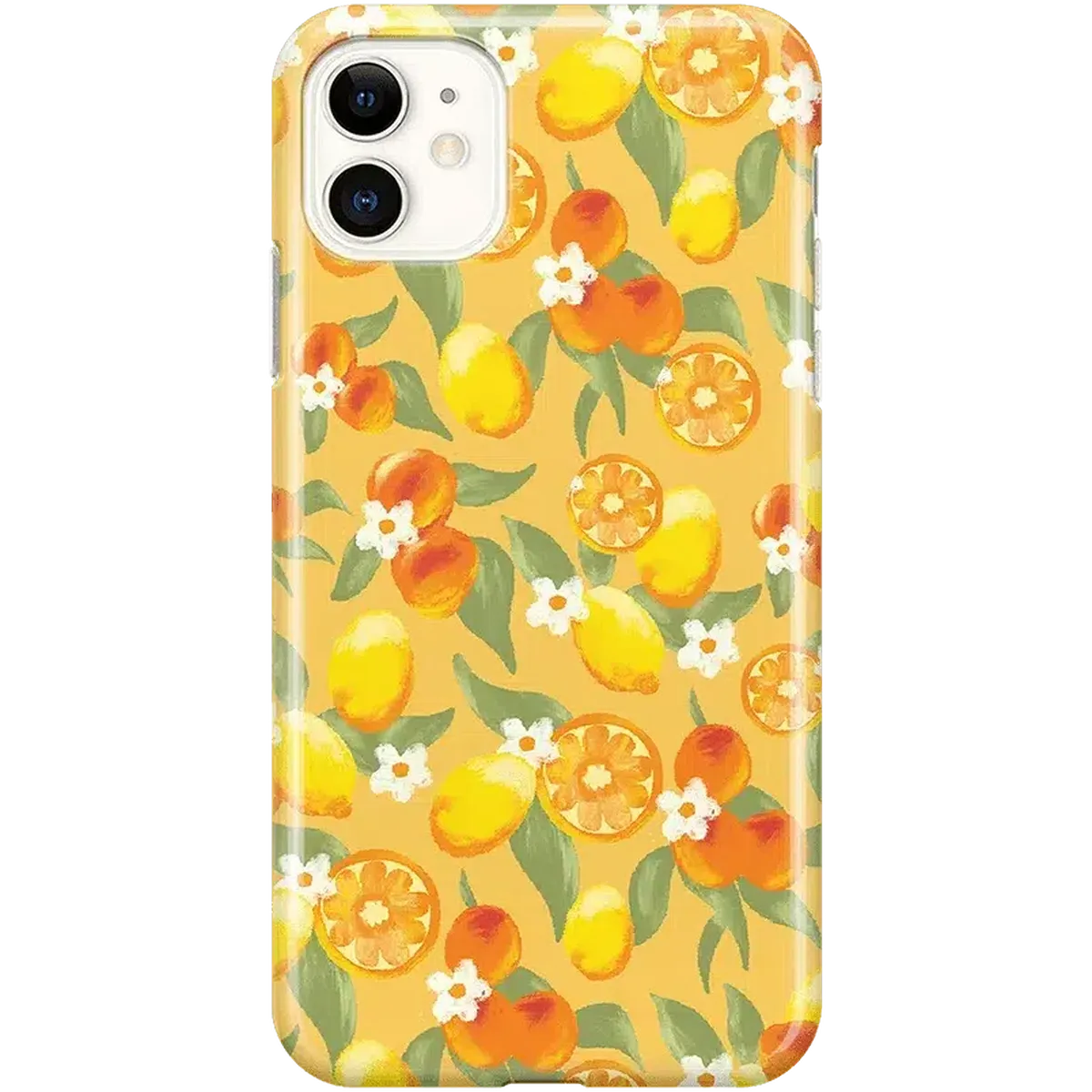 Positano | Dippin' Daisy's Italian Coast Case iPhone Case get.casely Classic iPhone 11