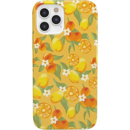 Positano | Dippin' Daisy's Italian Coast Case iPhone Case get.casely Classic iPhone 12 Pro Max