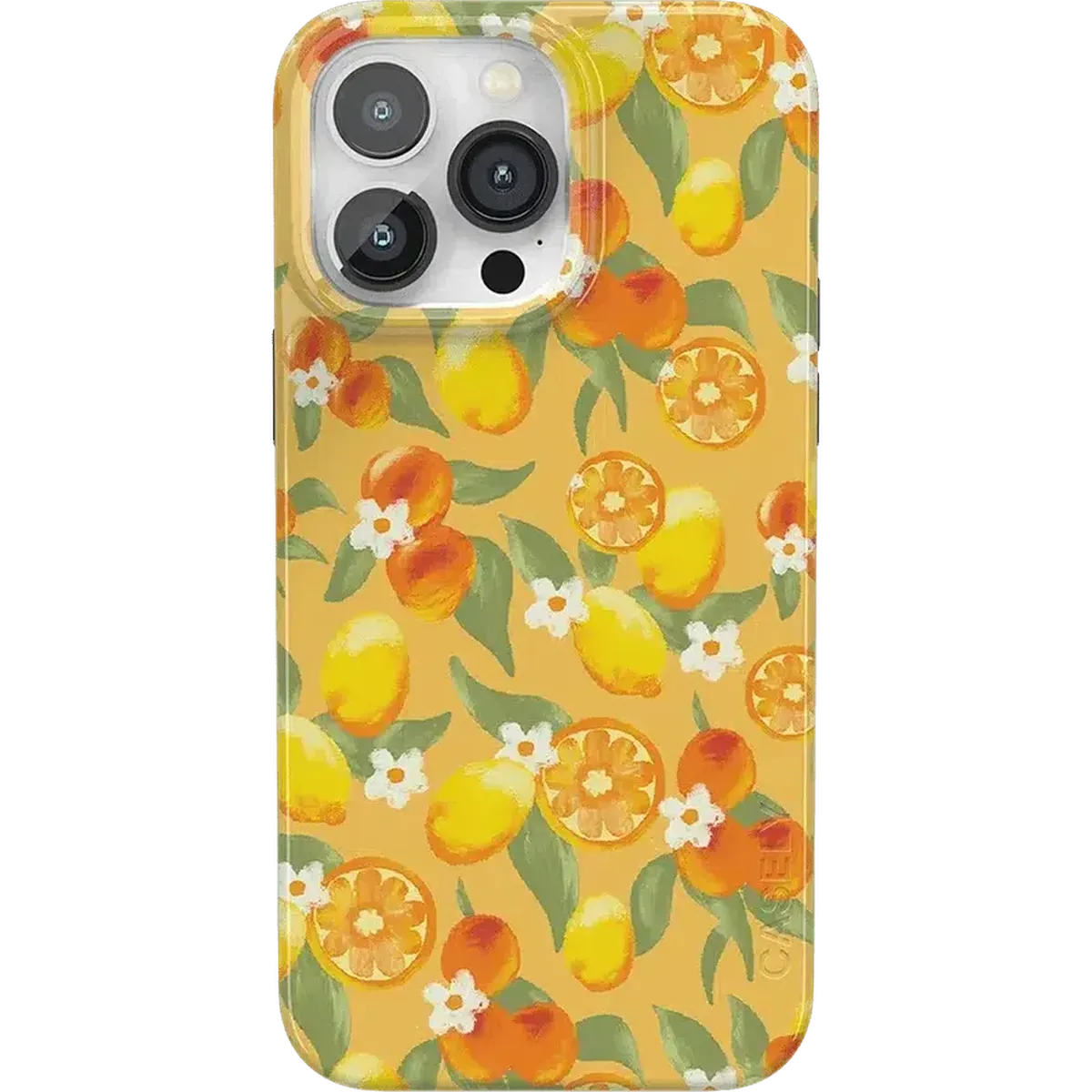 Positano | Dippin' Daisy's Italian Coast Case iPhone Case get.casely Classic + MagSafe® iPhone 14 Pro Max