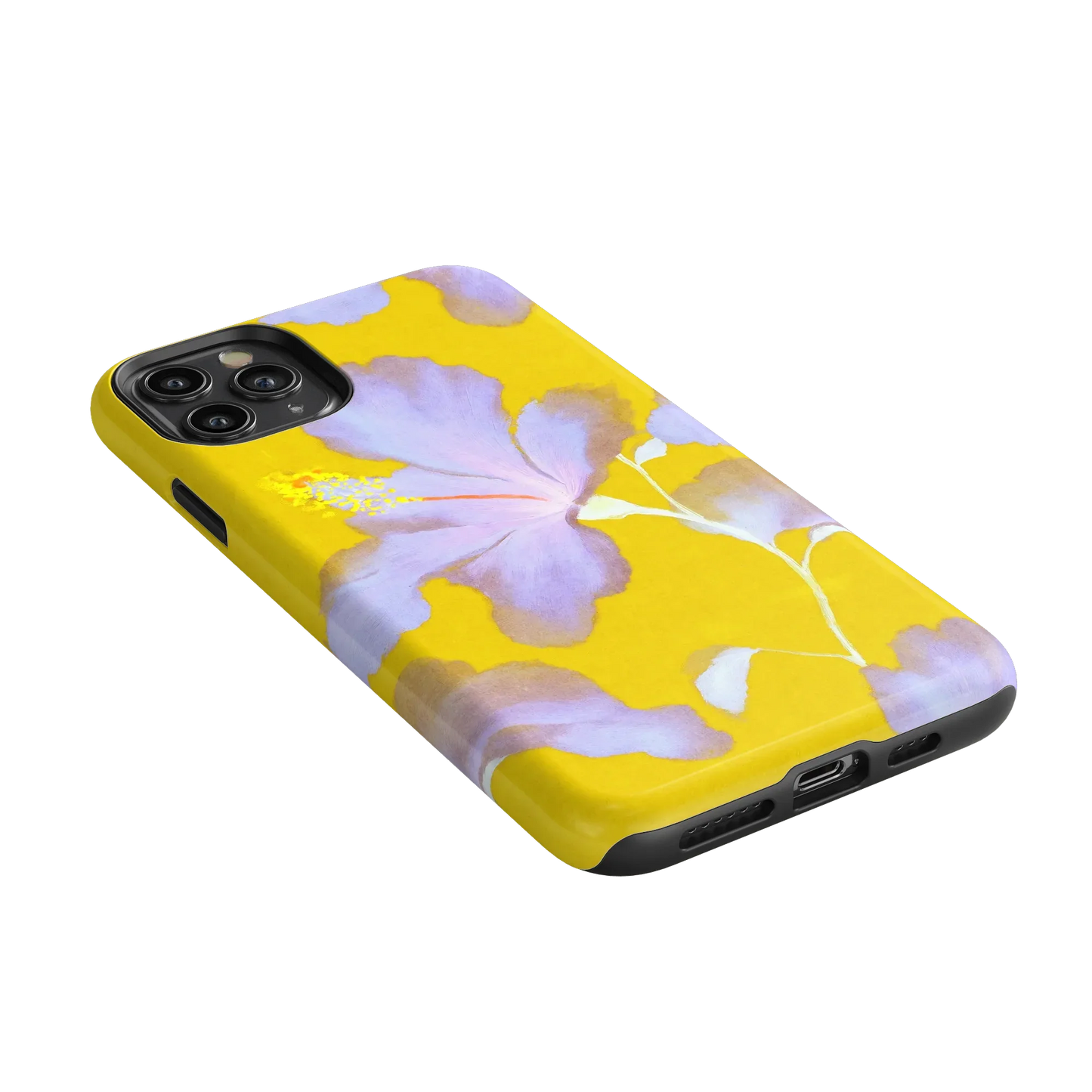 Hibiscus Haze | Painted Floral Case